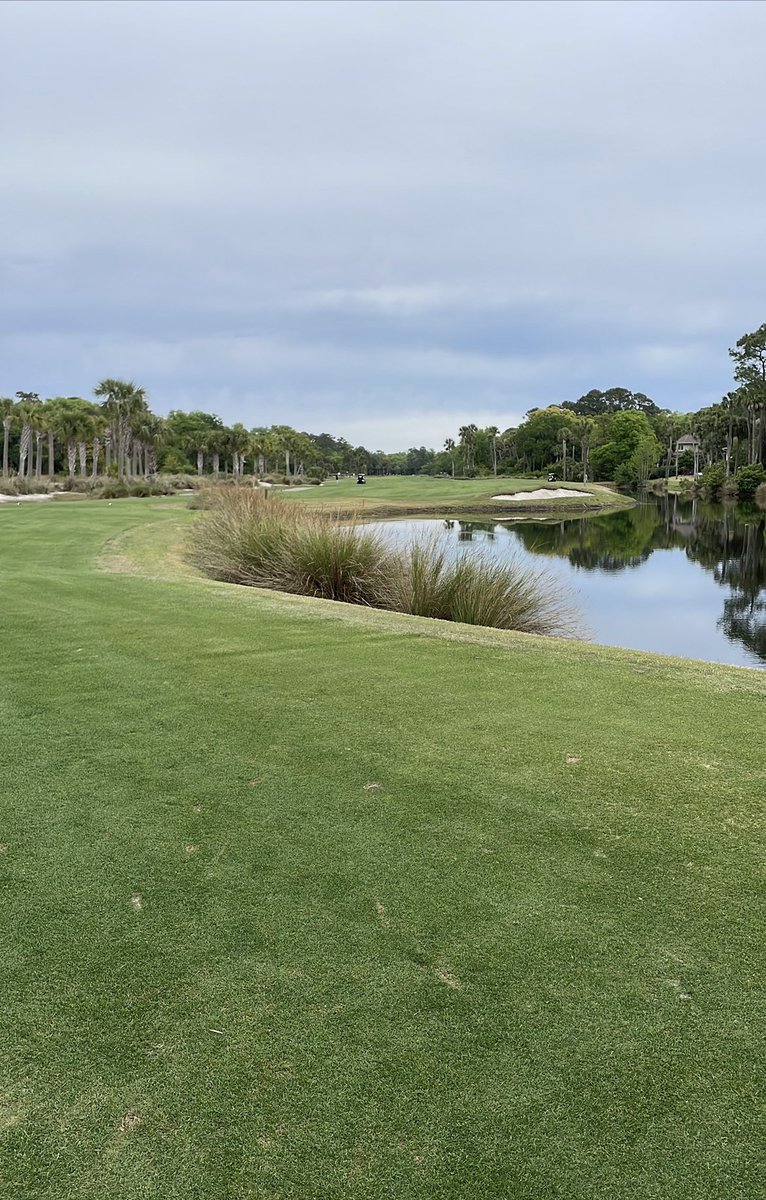 Andrew Murray tweet media