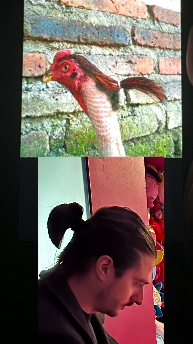 ayeshammayhew's tweet photo. @Asmongold I’ve come to the realisation that my boyfriend looks like this chicken 🐔 https://t.co/F92a9Kk89k