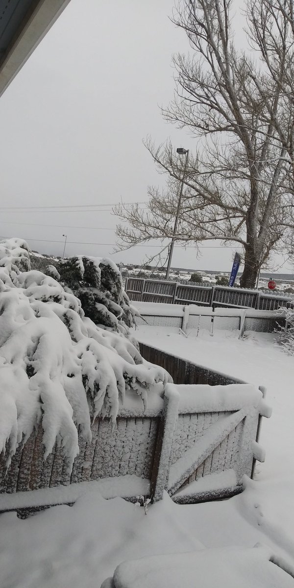 Five inches of snow since last night and now a snow squall headed this way. wth?