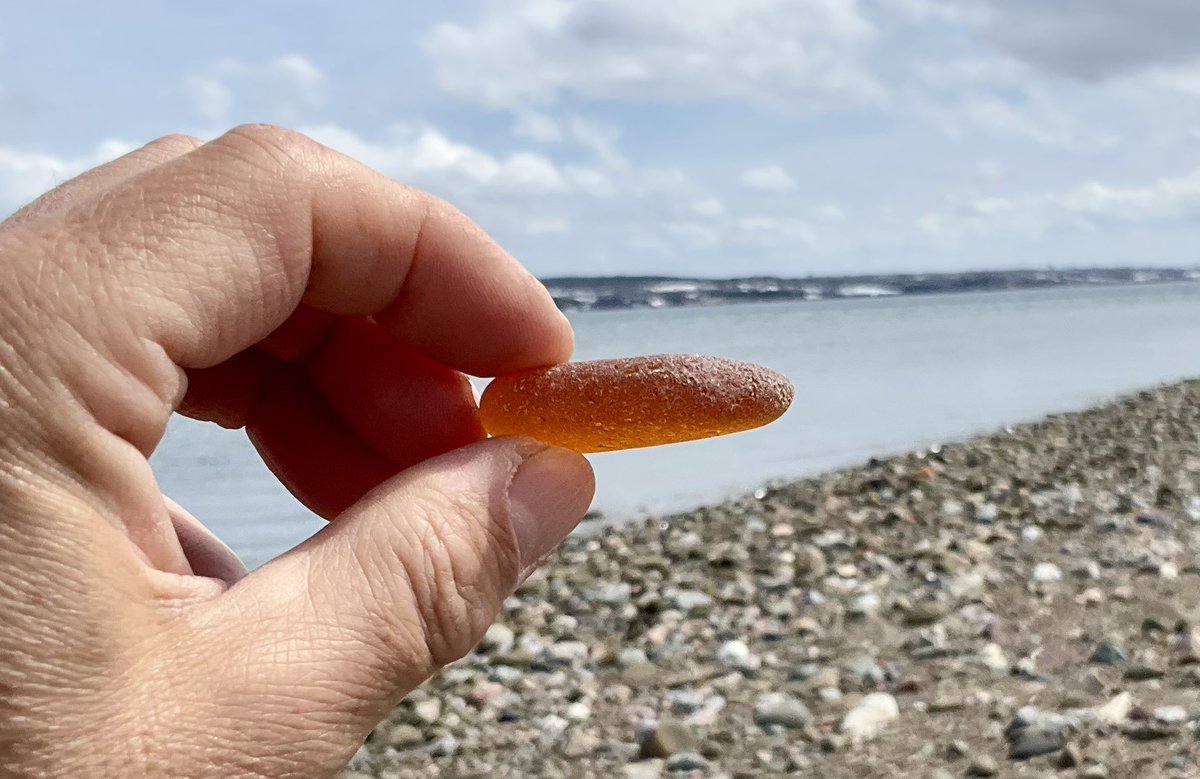 ~ Catch Of The Day! 🧡
A beautifully aged & super frosty, golden honey sea glass shard! 🌅
#beachglass #visitnovascotia #Orange #capebreton #sea #seaglass #beachcombing #beautiful #mermaidstears