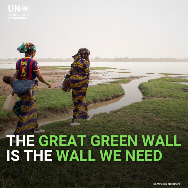 UNEP's tweet photo. Action on the ground is critical to addressing the triple planetary crises.

From assisting communities to adapt to a changing climate to restoring biodiversity #ForNature, the Great Green Wall is an example of the kind of action the world needs.

#GenerationRestoration