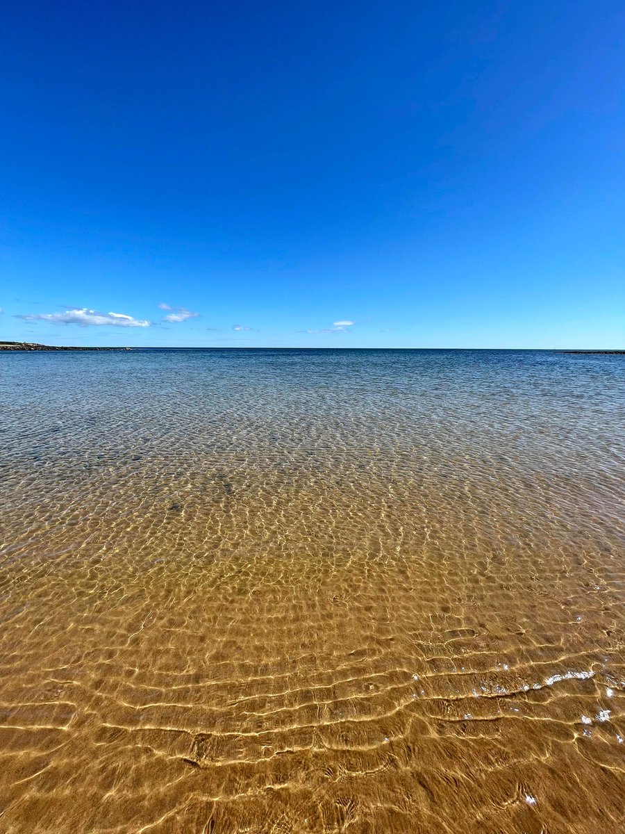 Longhoughton is a hidden gem in Northumberland! With stunning countryside views, a close-knit community and easy access to the coast, it's the perfect place to call home. 🌳🌊🏡 #Longhoughton #Northumberland #HomeSweetHome