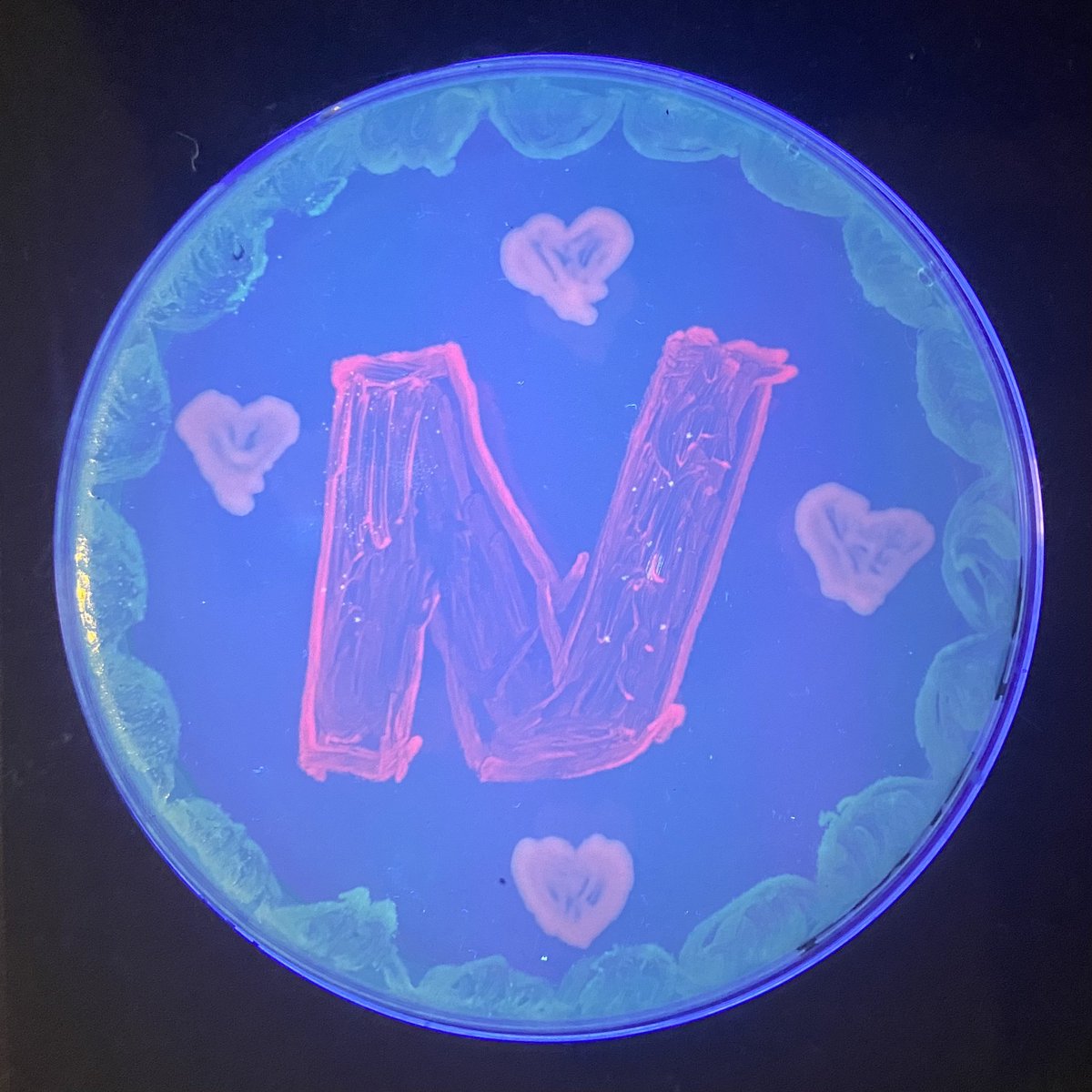 MicrobioUnl's tweet photo. (Part 5) https://t.co/qDuRtmbtpo