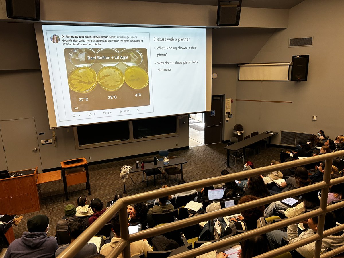 jkimmey's tweet photo. #BlueSoup #ActiveLearning a total hit!!! Incredible alignment with the learning goals of the first few lectures #pedagogy 
and such a FUN journey to introduce how awesome #microbiology and #ScienceTwitter is! You’ve got 100 new people following along! #FlippedClass https://t.co/tHEs4KMpRd