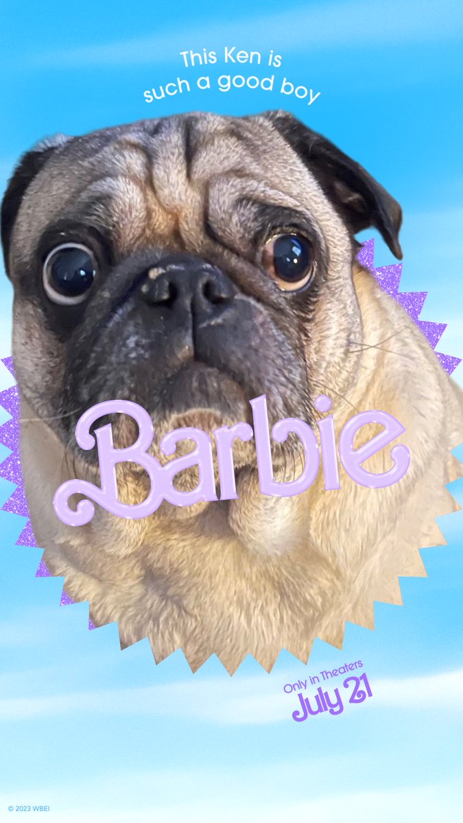 TheColinGaughan's tweet photo. Congrats to the one and only Enzo for being cast in Barbie (2023)

extra scratches for you today buddy 💜 https://t.co/KCMpidQauD
