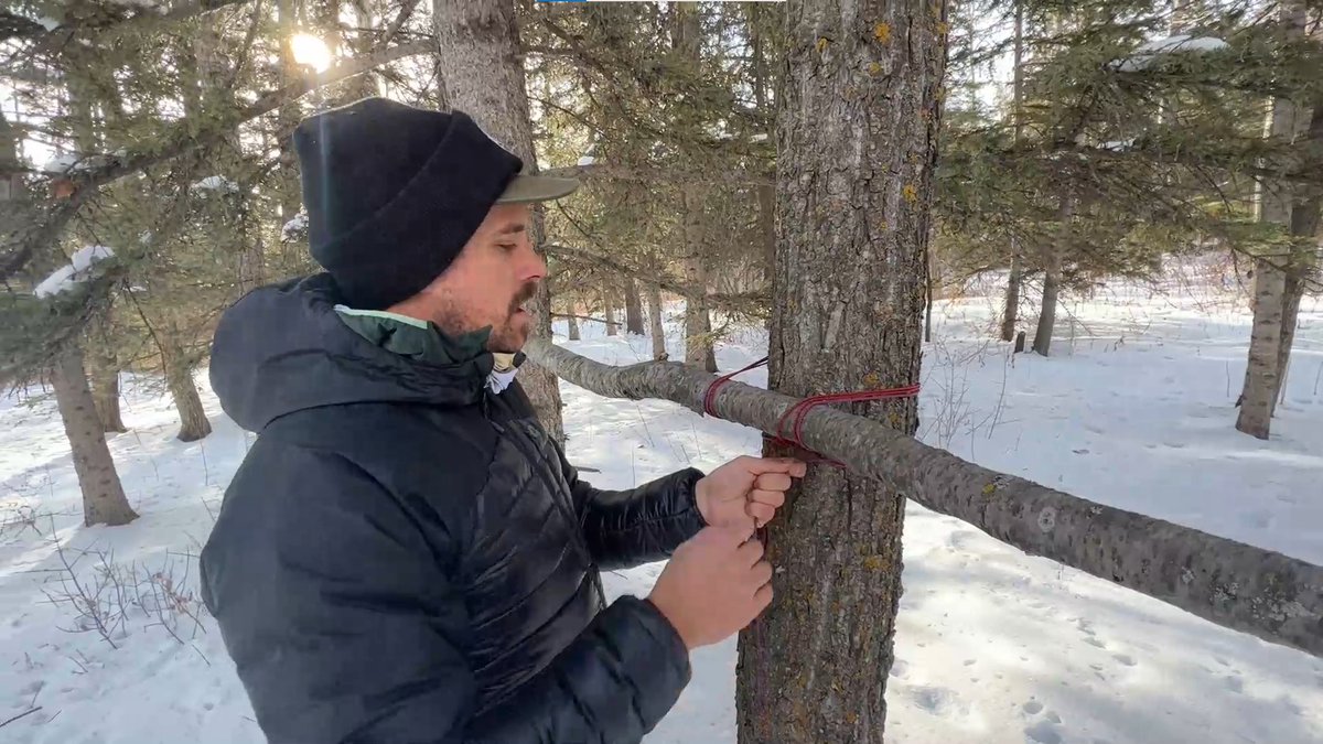 We're back with more Teachable Tuesdays! 2 Special knot how-to's: Reef Knot & Box Lash🌲
youtu.be/4-8umccT-Ls
youtu.be/olsH7XPjV2sOh

#knots #boxlash #reefknot #knottying #outdoorlearning #outdoorskills #wintercamping #outdoorfun #outdoors #outdooreducation #outdoorrecreation