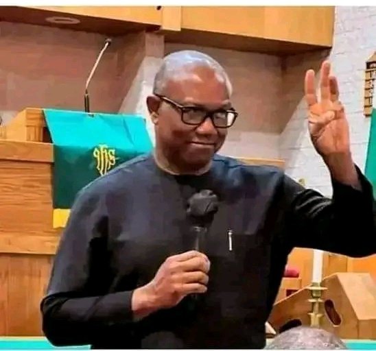 Crownprince_Com's tweet image. No Obidient should have less than 50k followers! We need to follow ourselves and trash every propaganda against Peter Obi

I want to follow 500 Obidients right away. 

Drop your twitter handle like and retweet

#TimeleesAlbum/Alpha Beta/North/Gist/Pelumi/Covenant University/