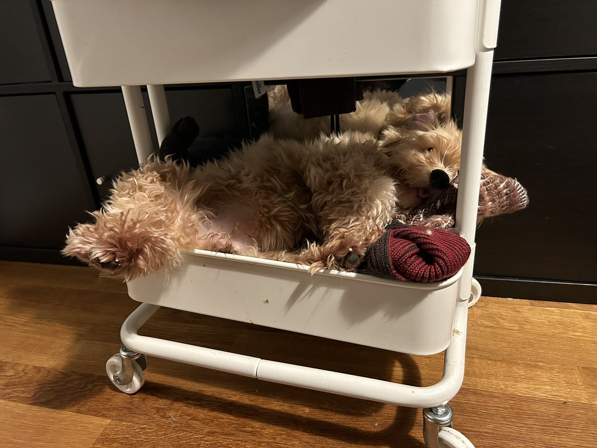 I like to sleep on IKEA’s storage cart…
