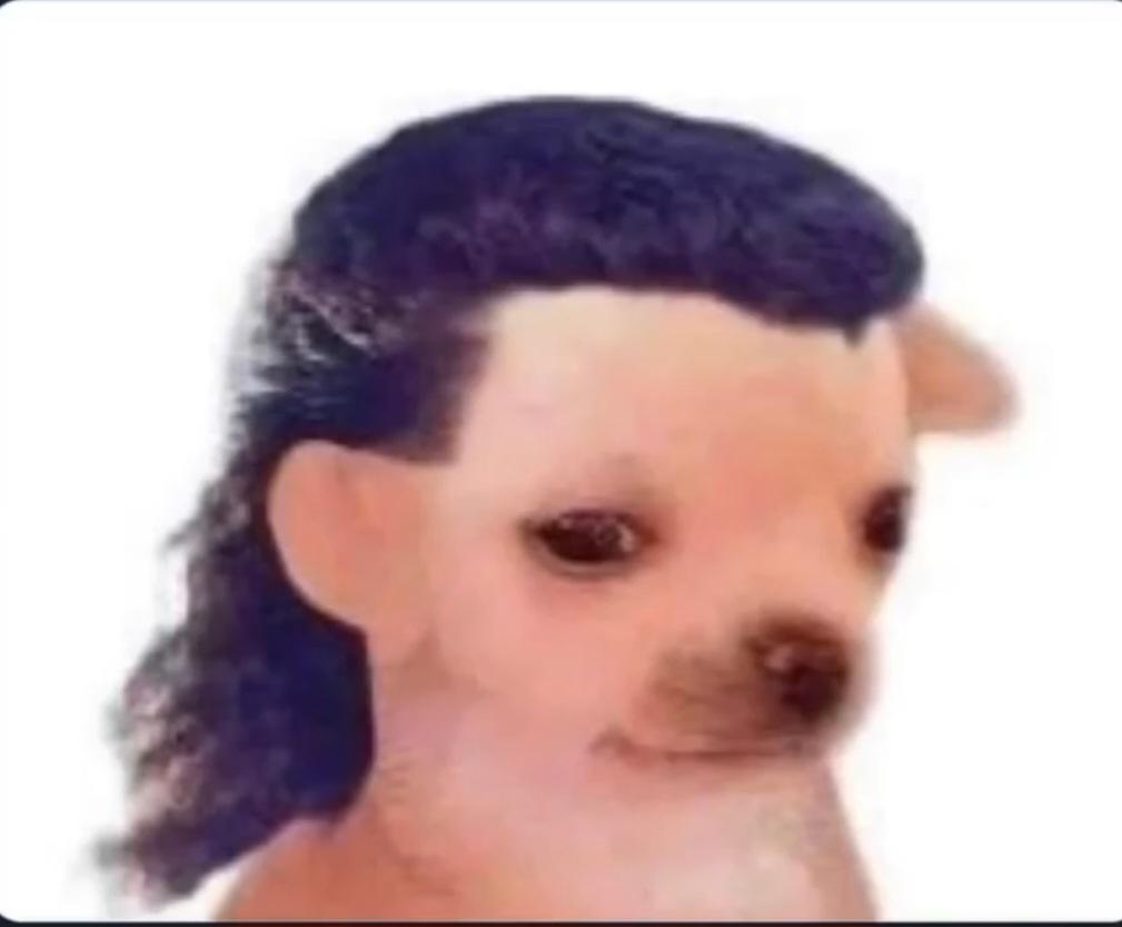 NotDenver_'s tweet photo. @wheres_polo Let me get you right 🤝 https://t.co/K64Gfy0gF7