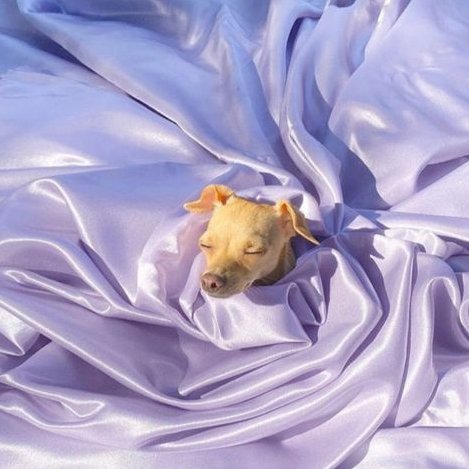 how i feel after doing an everything shower and my entire skincare routine