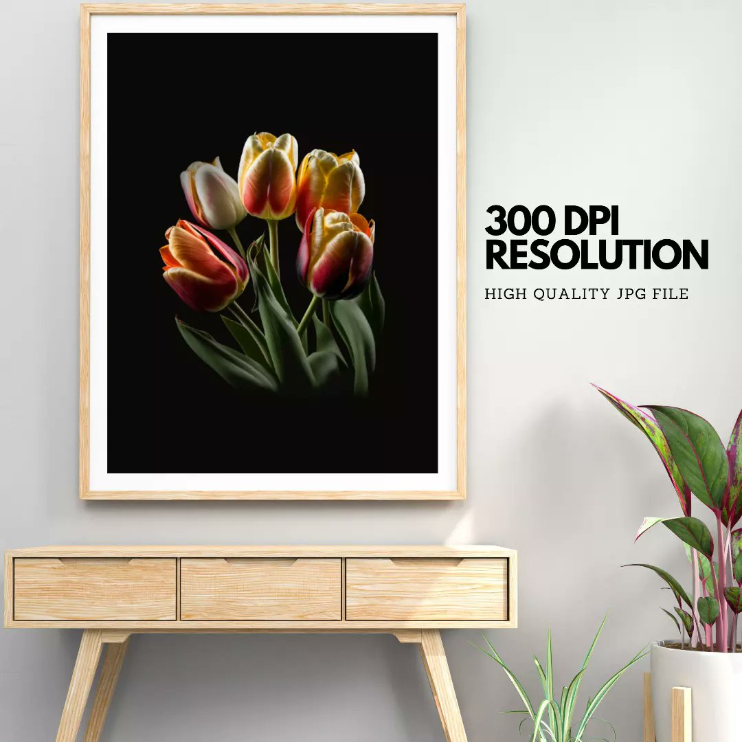 * BotaniGraph🖼️🎨

* Embrace The Power Of Art 🙌
* Elevate Your Home Decor 🏞
* Bring Live To Your Walls 🔥
* Bring Positivity To Your Live🙌
* Digital Art 🖨️📸

#tulips #tulip #tulipany #tulipani #tulipes #tulipas #tulipan #tulipa #tulipanes🌷 #flowers #digitalart #printableart