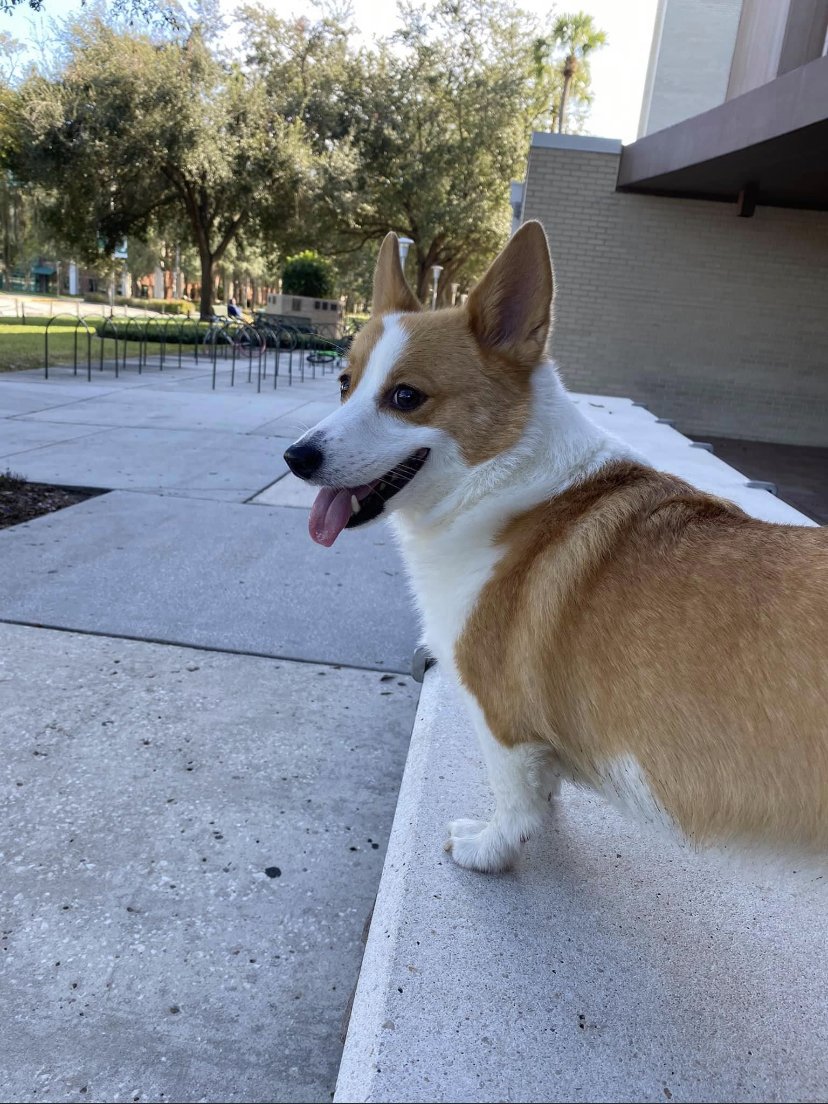 treat ur girl right before i steal her xoxo