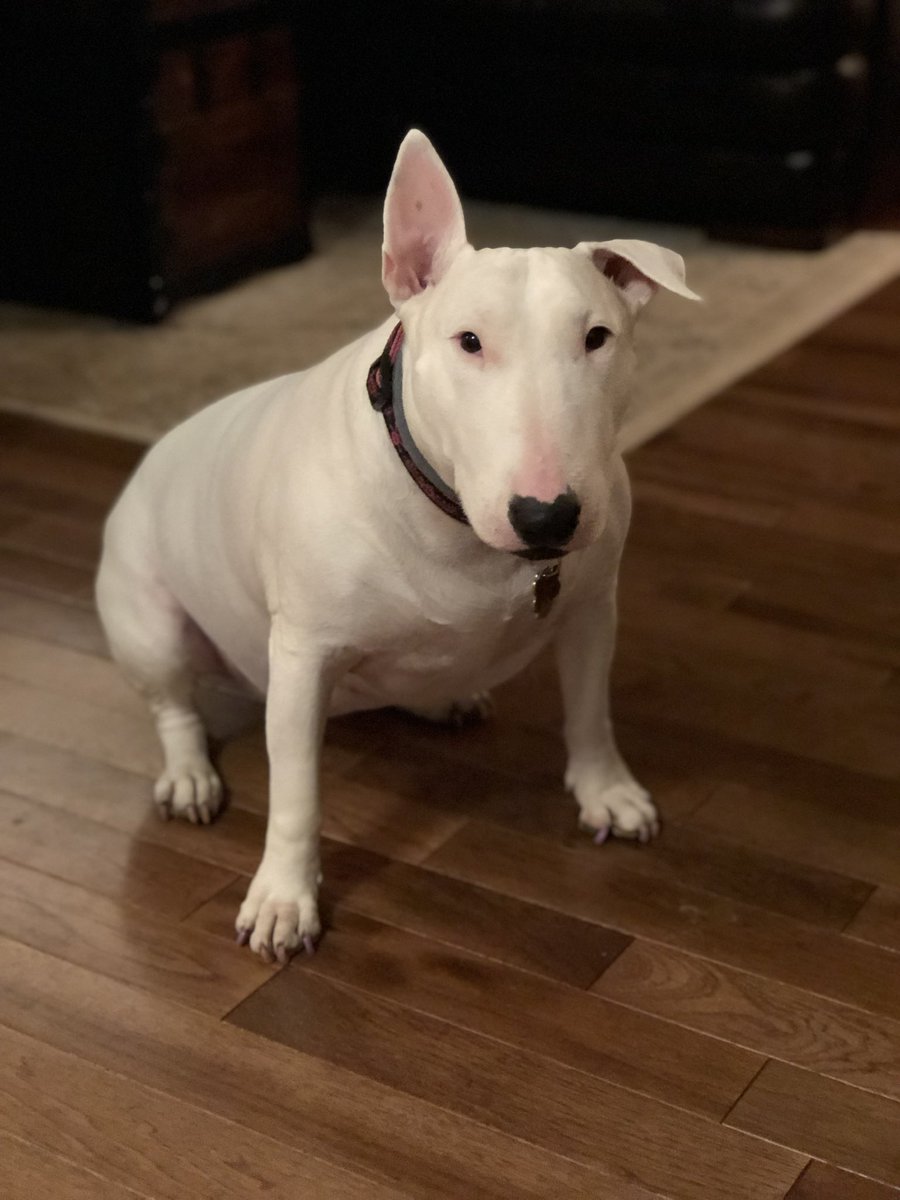 Emily Schaffer Beatty tweet media