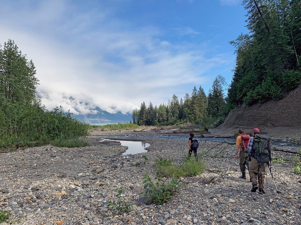 Climate change is reshaping our coastline and ecosystems, and as glaciers retreat this is providing new habitat for salmon.

Great article in @SmithsonianMag highlights work by @SFUBioSci researchers  @KaraPitman and @Jon_W_Moore ow.ly/q9cR50NAvOW