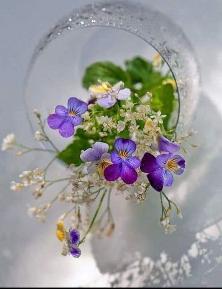IzabelleCova's tweet photo. @kaz22532418 @YasserElmsalamy @GinaJardines @Alaayous3 @ivymarina1 @_11jj11 @U42___ @binzood1 @ado_omr @2St3D @Reciclatecno @zhra54335130 @ggloriagzz05 @farwamohsin3 @magnificasil @HarryNorki26998 @YUSUFSI64199057 @Claudeteasantos @YolydeSandoval1 G'morning 🌈 💜
#enjoyday ☀️ https://t.co/GFXq1ZG9RG