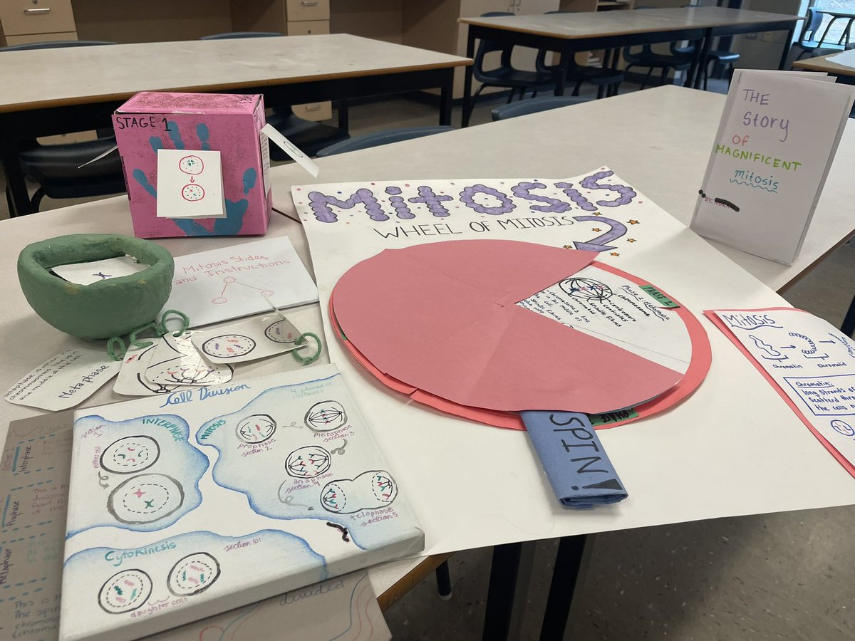 HennesseyMrs's tweet photo. So many creative ways to show their understanding of Mitosis! @lockviewhigh @HRCE_NS #grade9science https://t.co/pRKR2t1WG9