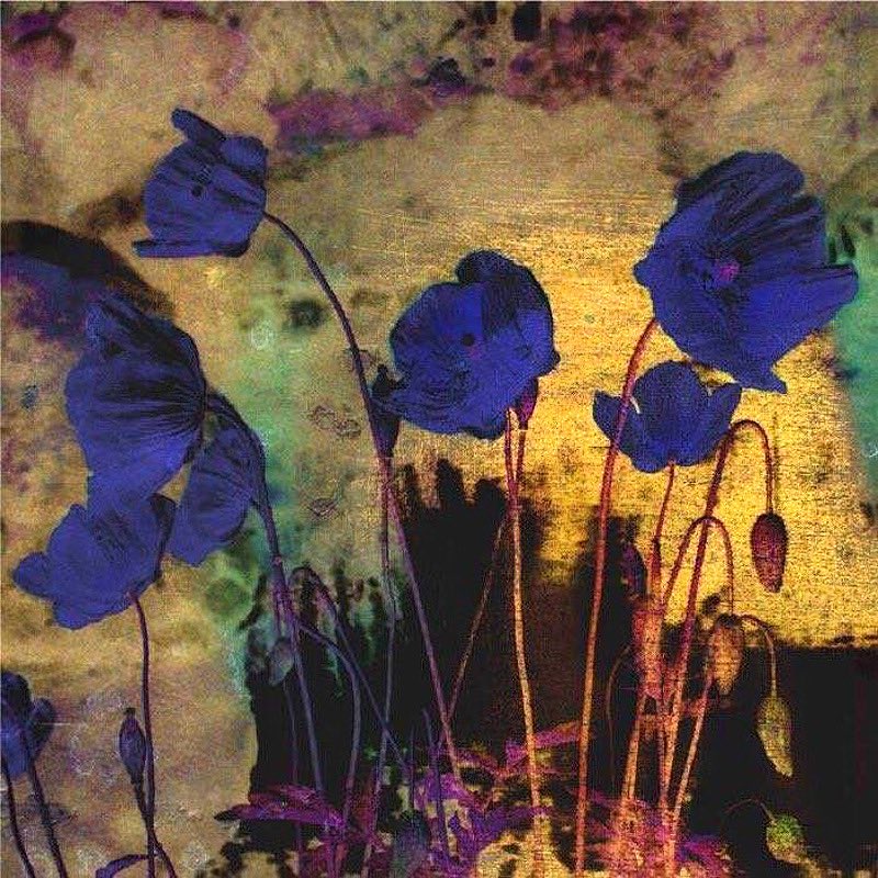 ''Blue Poppies'', 1910 #OdilonRedon ☮️💜🎨🖌️
