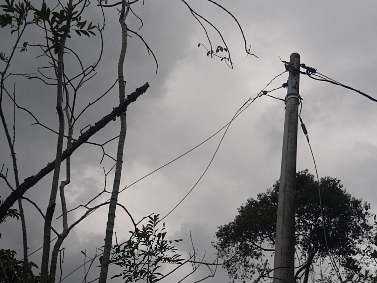 gellversus's tweet photo. CAYERON LOS CABLES DE ALTA TENSIÓN SOBRE VÍA PÚBLICA y @EnelClientesCO solo emite radicados. Sr. LUCIO RUBIO DIAZ Ud es responsable de INMINENTE TRAGEDIA. @Superservicios, @UNGRD, dr. @velascoluisf, @infopresidencia, dra. Miriam Rodríguez Caicedo. ¿A cuántos muertos atienden? https://t.co/BQKh4oUBG4