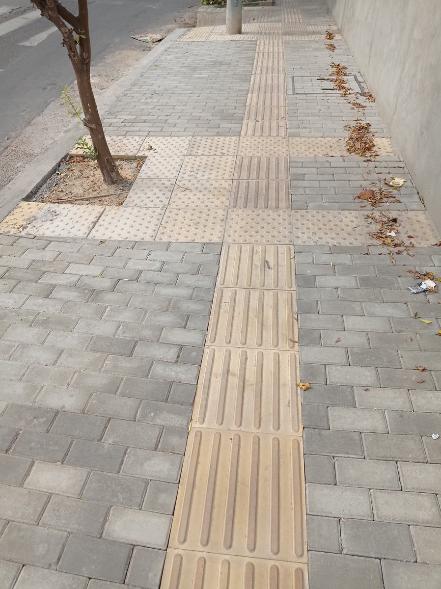 pablocallizob's tweet photo. Encuentre los errores de utilización de la baldosa podotáctil en estas veredas https://t.co/O9wXWbA590