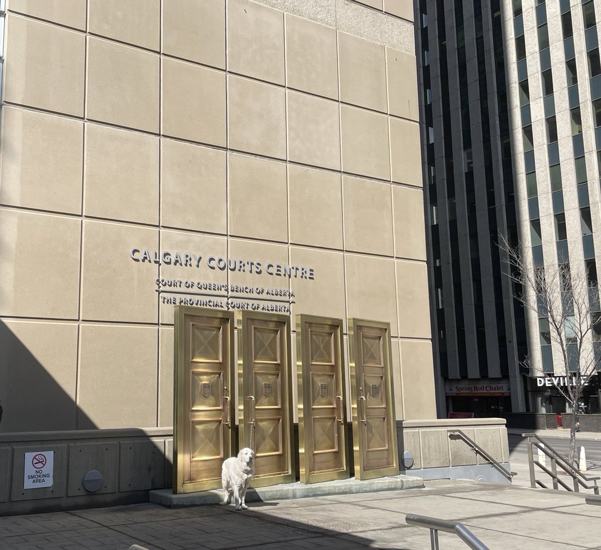 Kaden_Kish's tweet photo. First time at the Calgary Courts Centre. Although it was only for a short amount of time, it was a really neat building and am looking forward to coming back. #rtbnnews #yyc #calgarycourt https://t.co/jug9irq5r4
