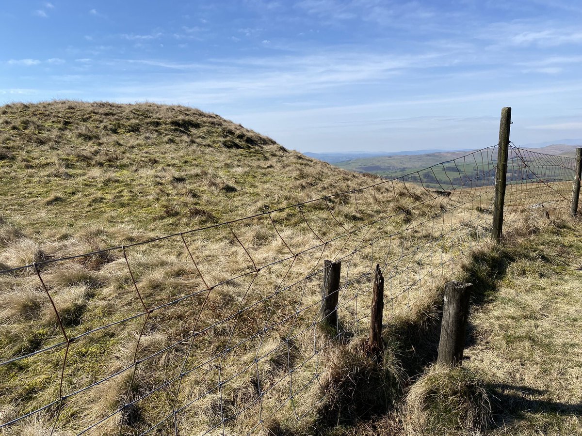 Duncan Pollard tweet media