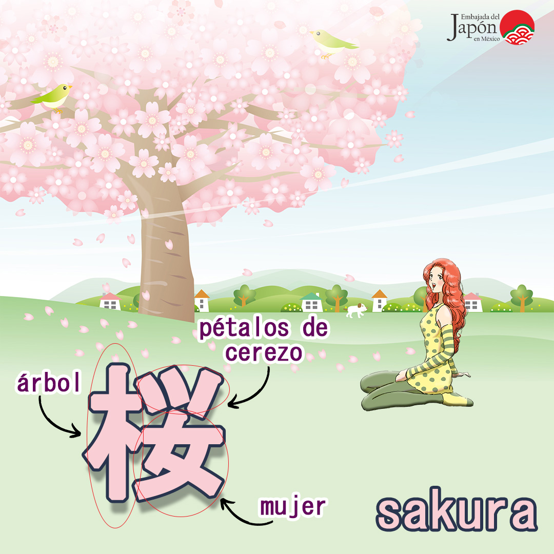 JapanEmb_Mexico's tweet photo. Una hermosa mujer contemplando los cerezos en flor🌸☺️
Usando la imaginación, puedes entender el concepto de la forma del Kanji 桜 (ideograma) para #Sakura🌸(#CerezoJaponés).
Tiene un significado muy bonito🥰
#IdiomaJaponés #CulturaJaponesa https://t.co/frK1HRPRdv