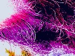 theMisterG's tweet photo. mid part of last week's show Angels Of Libra Thee Sacred Souls Baby Charles The Drawbars @soulmotivators Ft @shahiinthesky @WhatitdoArchive 
The Ironsides Danny Jonokuchi &amp; The Revisionists &amp; @countbasieorch 

https://t.co/somQfFaVCh https://t.co/s1gzZlJYgD