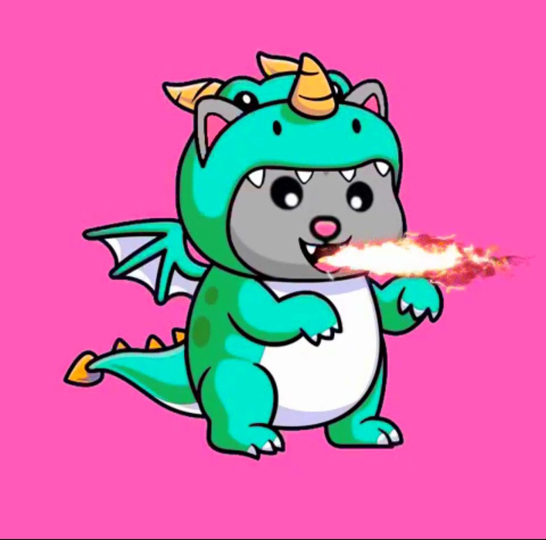 cryptoburn3r's tweet photo. @CRyptOracl3 @BobaInu #bobainu https://t.co/ju7RPvOtQN