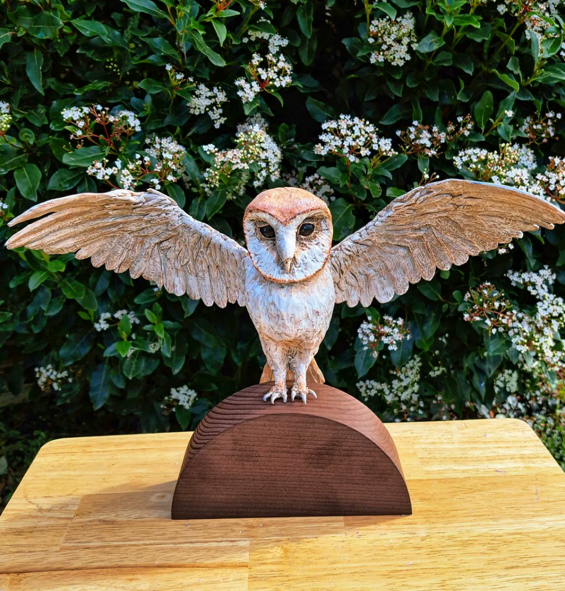 My latest sculpture has found its new home at the Cornish birds of prey centre. #Barnowl #art #sculpture #nature #birdsofprey #clayart #handmade