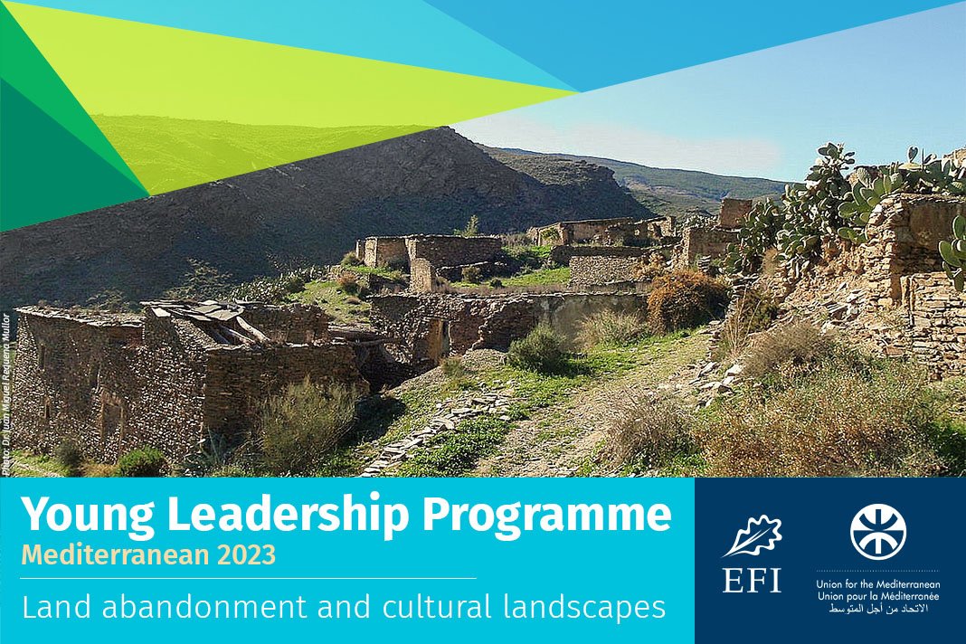 IssamTouhami11's tweet photo. The deadline for applications for the EFI's Young Leadership Programme Mediterranean 2023 (YLPMED) has been extended by two weeks!

The new application deadline is 16 April.

https://t.co/qX6UXTyQ8z

@europeanforest
 @efimedfacility
 @UfMSecretariat https://t.co/rgFbjCr7D3