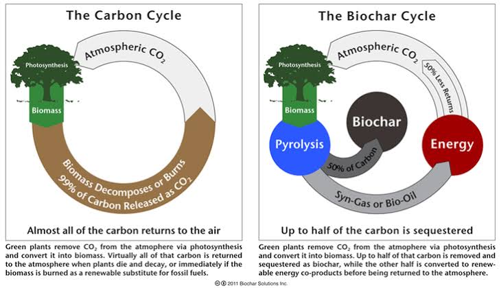 1/
Some of the geoengineering technologies (#CDR+#SRM) covered in the recently published #ScientificPapers ⬇️

CARBON DIOXIDE REMOVAL APPROACHES:

Forest Management
rb.gy/ub3bx 

Biochar 
rb.gy/lzi66
rb.gy/3iigp

#Biochar 
#ForestManagement

🧵