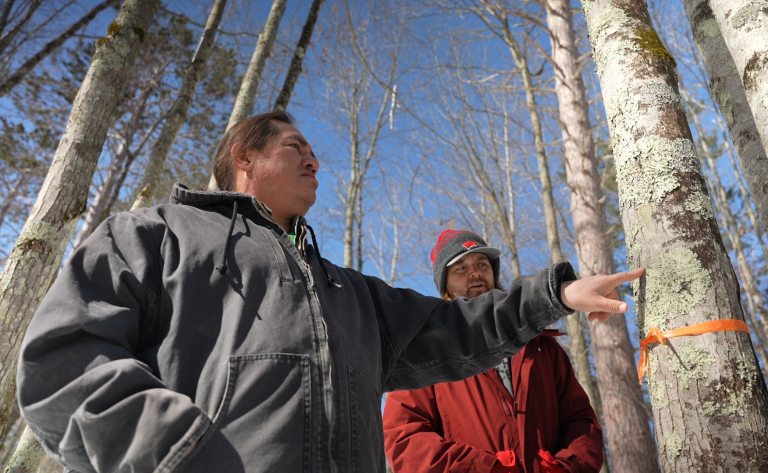 New Water Resources Institute research project checking for #PFAS in the Ceded Territories. Looking at maple syrup, lake water and walleye. bit.ly/3nCIV3A