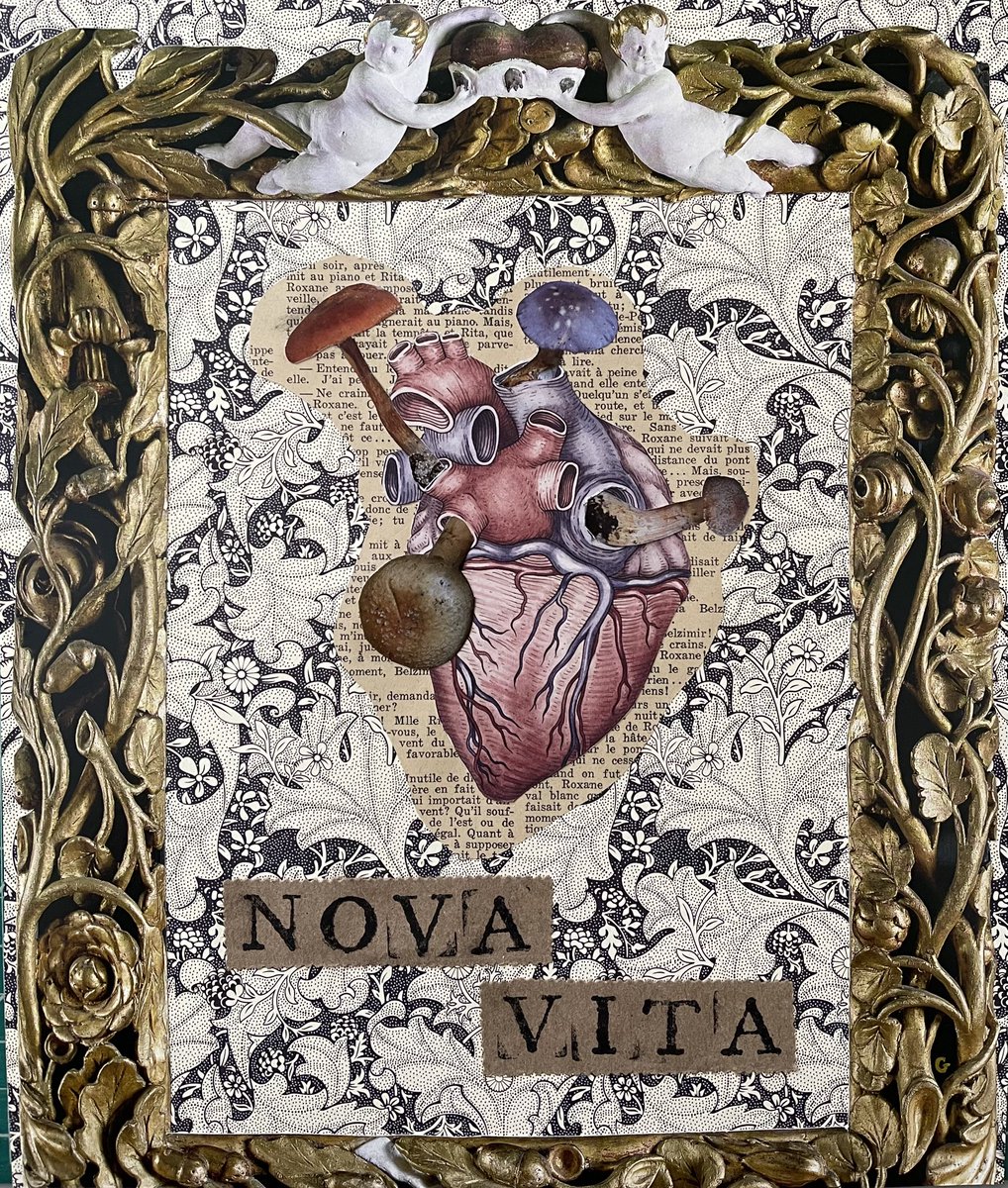 gigilcreative's tweet photo. I currently have over 100 handmade, one of a kind collages looking for their forever homes 🥹 

Free shipping on all US orders 💖 https://t.co/Uj4NJ7CtcT