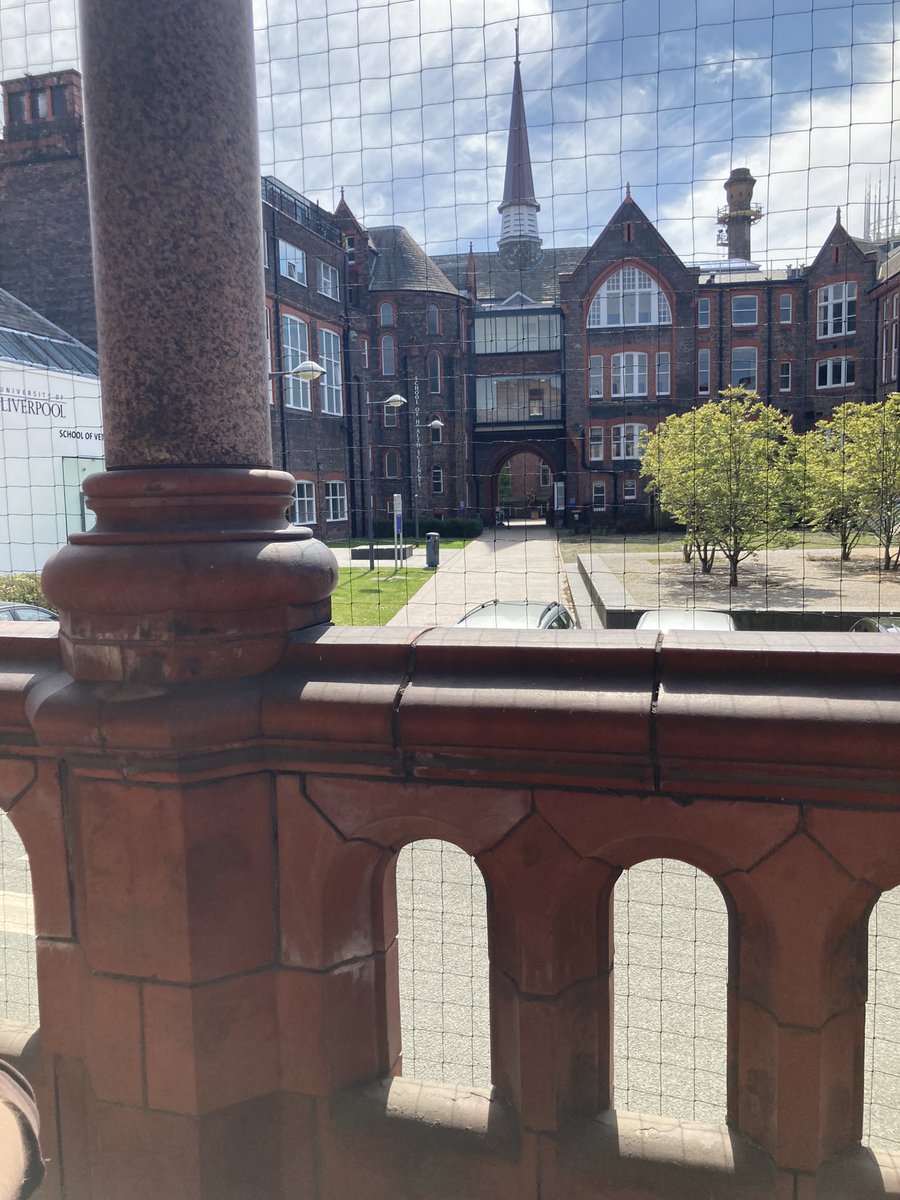 michaelasherlo1's tweet photo. KINETIC2 study is now recruiting at the University of Liverpool on 11th April! 

Looking for children aged 5-17 with normal vision to participate - please get in touch for more info! 

Michaela.sherlock@liverpool.ac.uk https://t.co/cQmbFkSljf