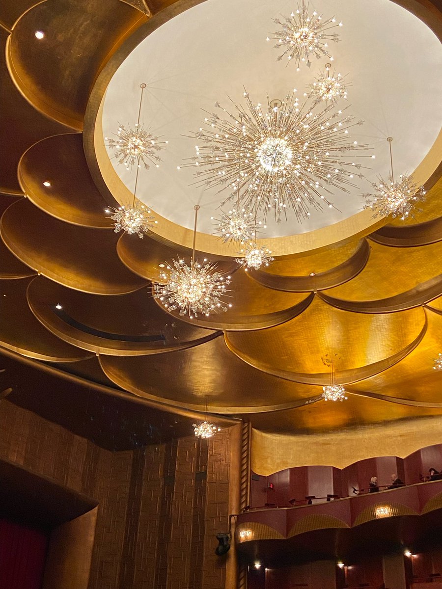 lenagrundhoefer's tweet image. Discovered my new favorite activity 🎶 #metopera