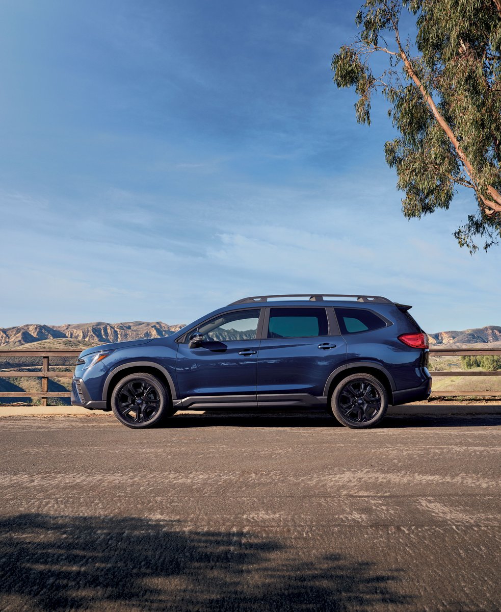 New Ascents are on special this month at Bertera Subaru! Come test drive today: bit.ly/3Kc3Pyk