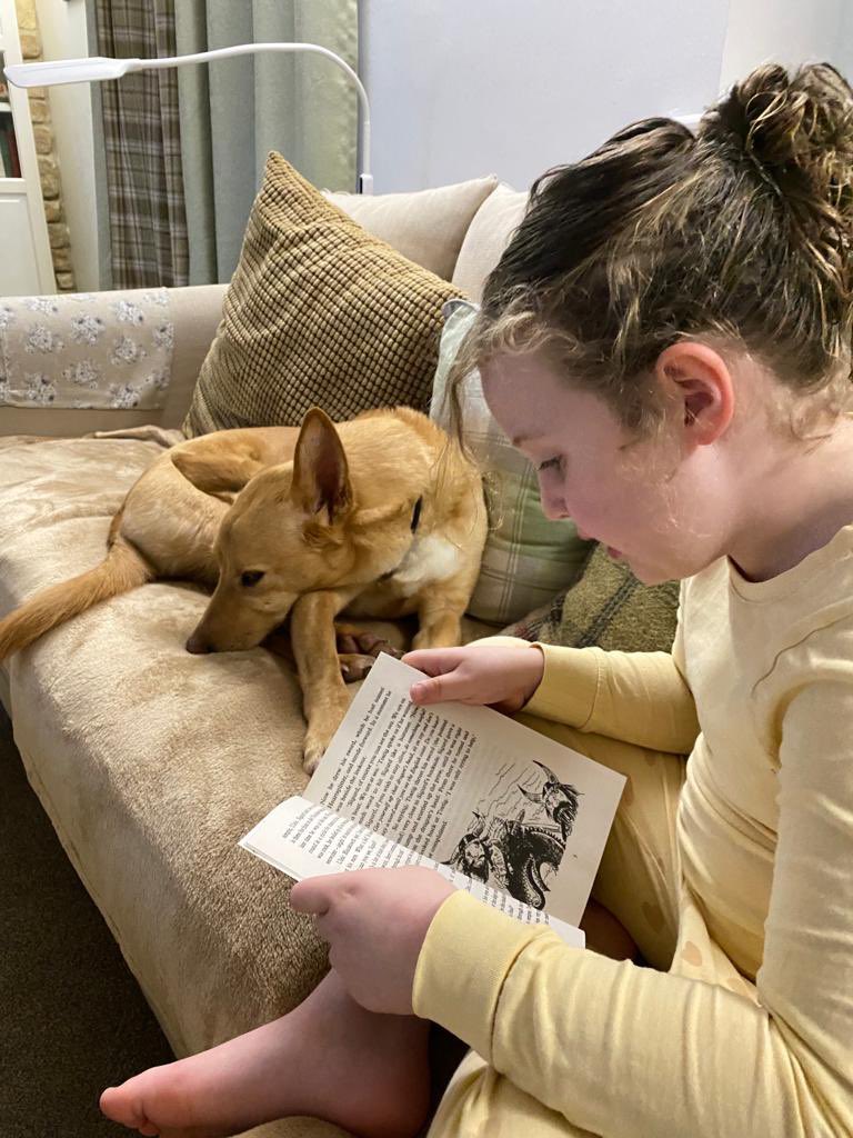 elpapps's tweet photo. @ArchibaldFirst #AFSreads reading to Grandmas dog, I think he likes it! 😀 https://t.co/1bbAyS6ZVc