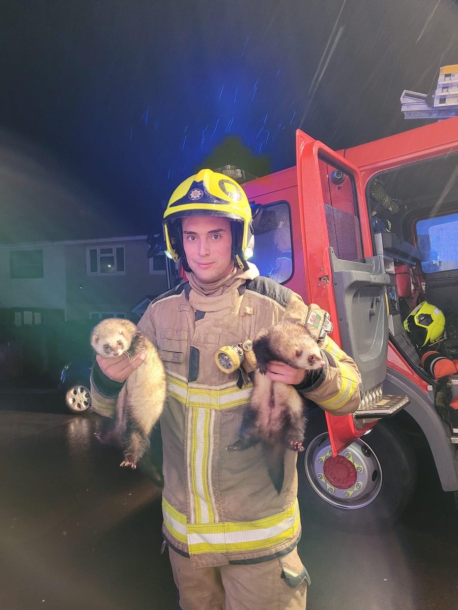 SWFireandRescue's tweet photo. ๐ These pet ferrets had a ferret-ale ending and were thankfully unharmed after being rescued by crews from #Risca and #Duffryn following a house fire caused by debris against a heater.
Ensure flammable materials are kept away from a heater, and donโt leave them unattended. https://t.co/vRpLWRbxP4