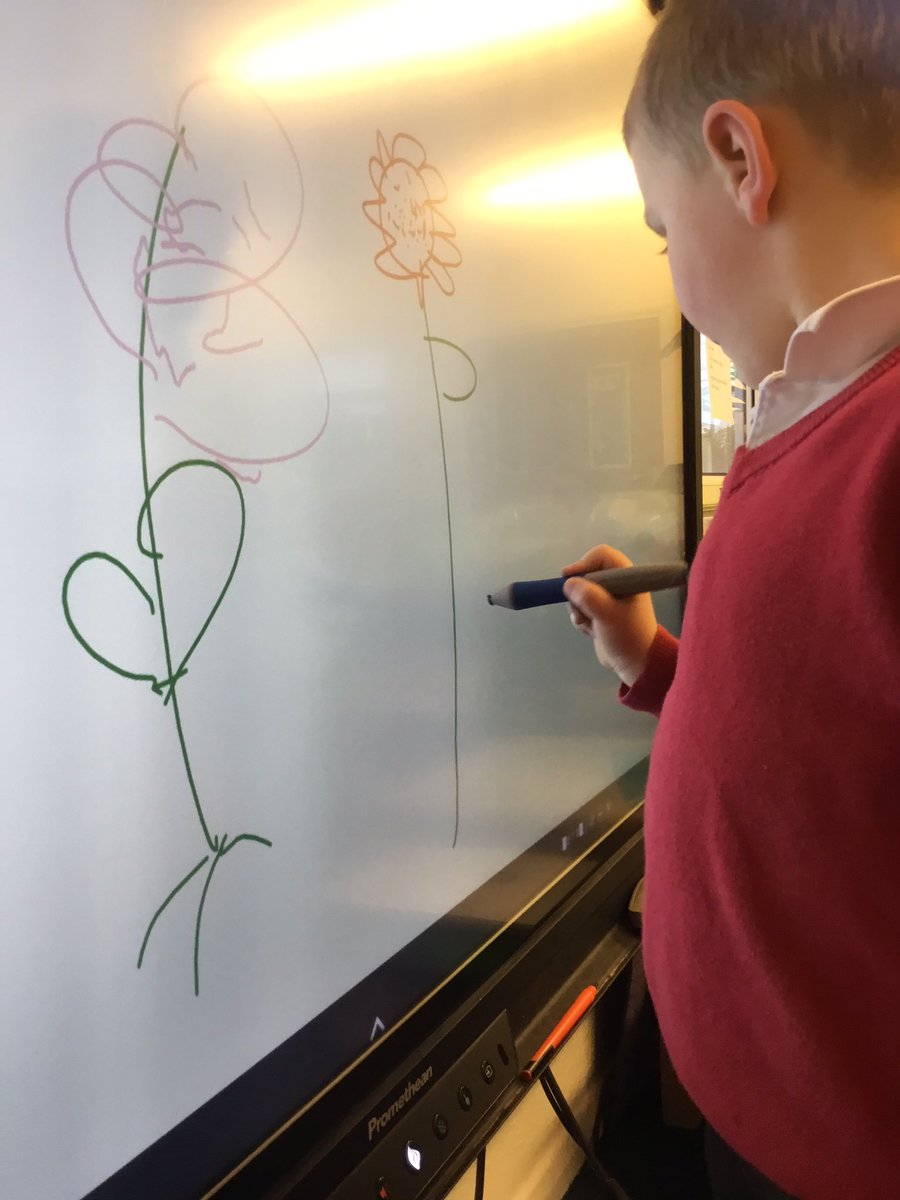 BPSNursery3's tweet photo. Continuing to draw and name the parts of a plant, this time using our Smartboard #bessacarrcomputing  We were able to select appropriate colours by changing the colour ourselves as needed. https://t.co/XaNFZ4rTKy