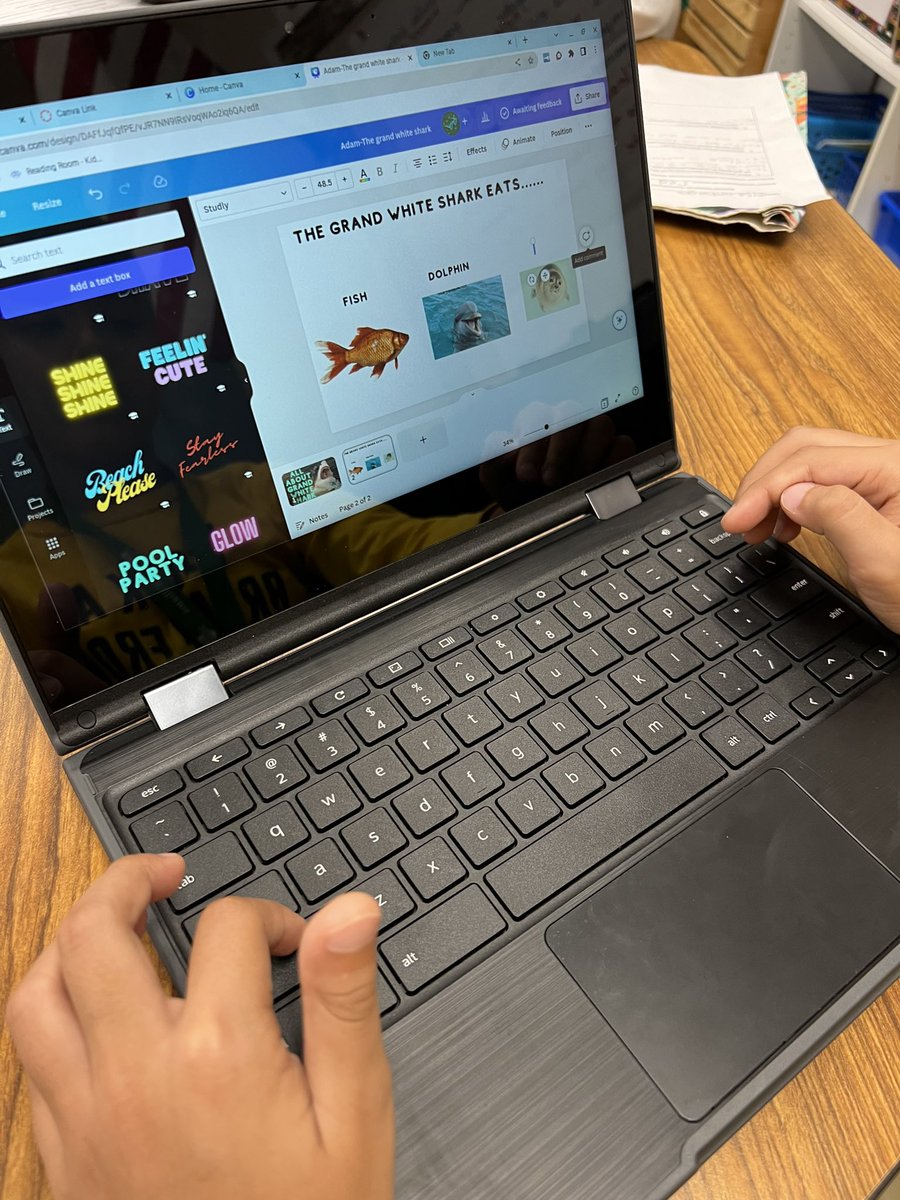 Amber Prewitt tweet media