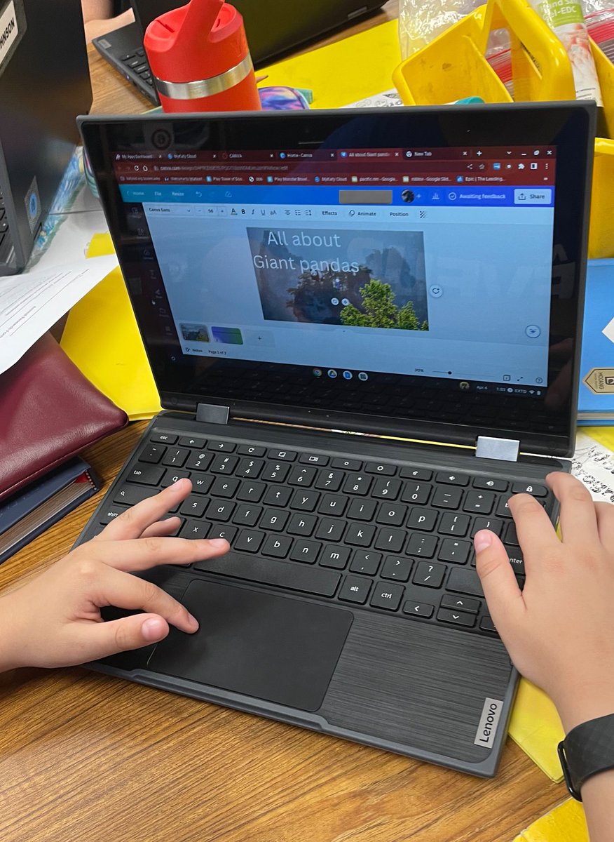 Amber Prewitt tweet media