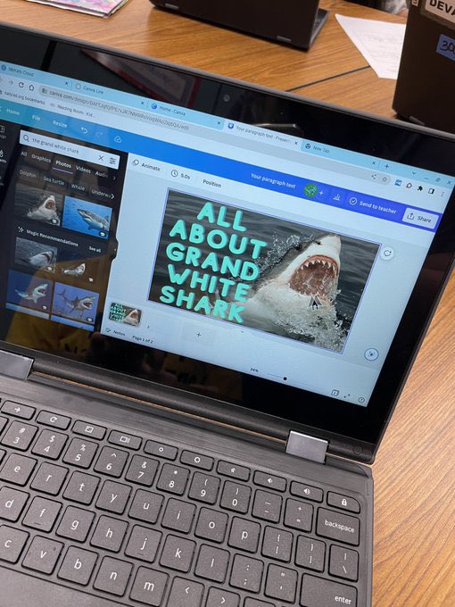 Amber Prewitt tweet media