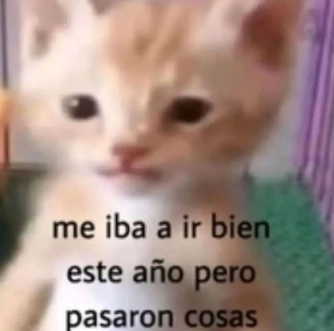 skereunpesado's tweet photo. https://t.co/1aQwmJUD3a