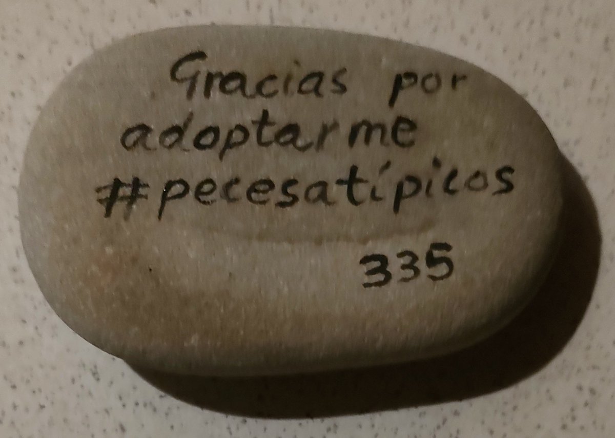 #pecesatípicos encontrado #atípico 🐟  num 335 en una fuente de #Cuenca lo cuidaremos bien!