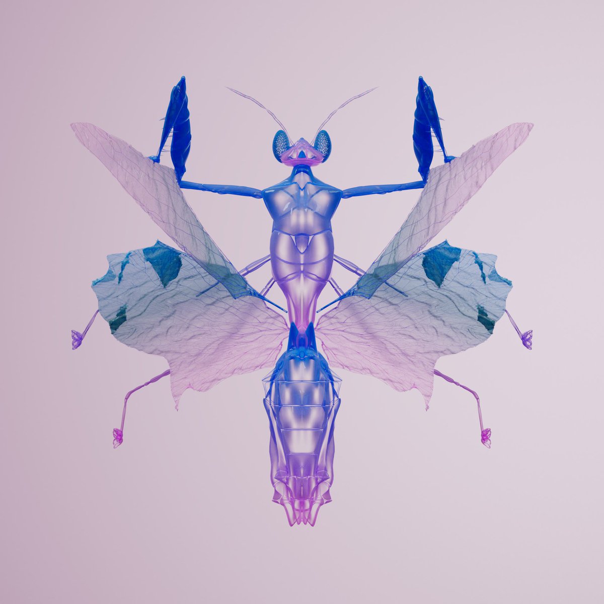 <a href="/elonmusk/">Elon Musk</a> It’s a bug’s life 🫶