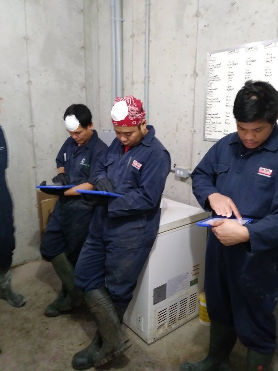 No more pens and paper in the sow barns 👍