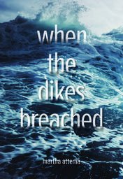 Last chance to enter to win a copy of YA novel When the Dikes Breached from 49th Shelf! Contest closes this Thursday. 49thshelf.com/Giveaways/(off… @BCBookLook @49thShelf