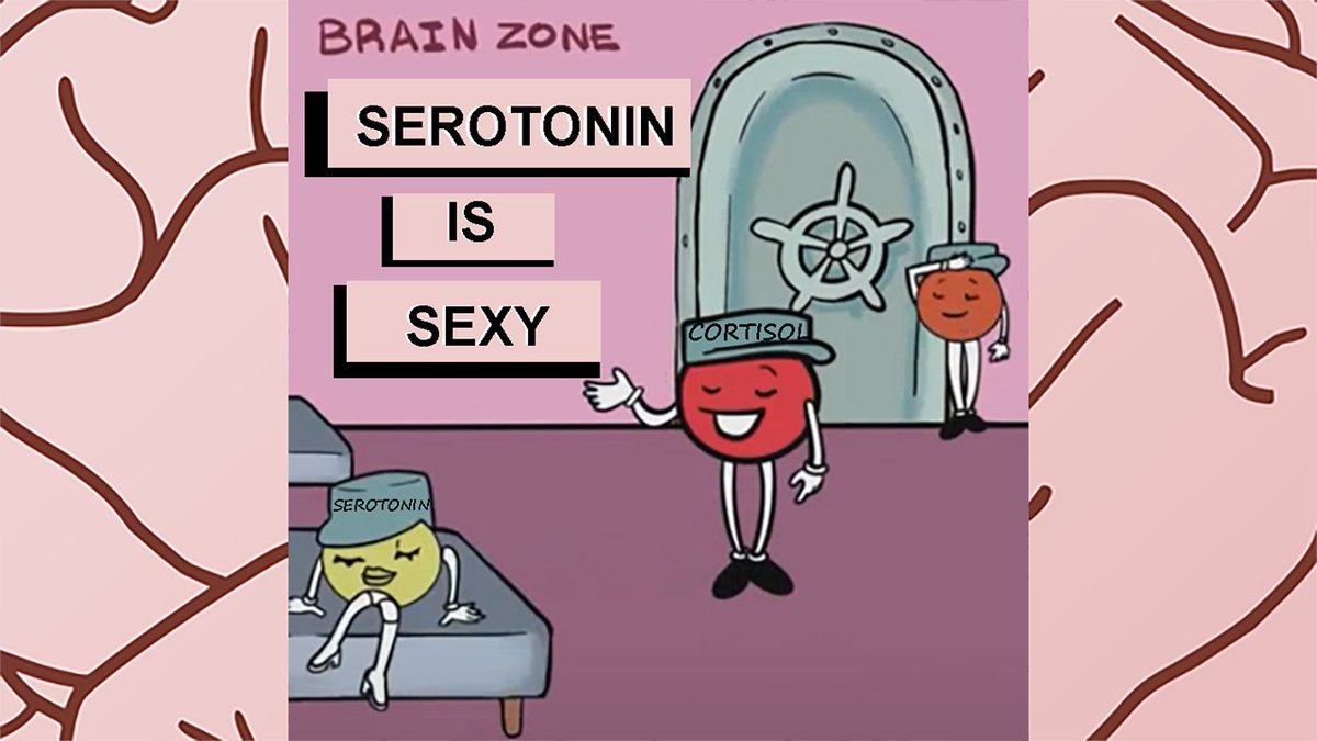 HackToonz's tweet image. Need a boost of #serotonin? Watch and find out you can. bit.ly/serotoninhackt…

#animation #lifehacks #boostenergy #hacktoonz