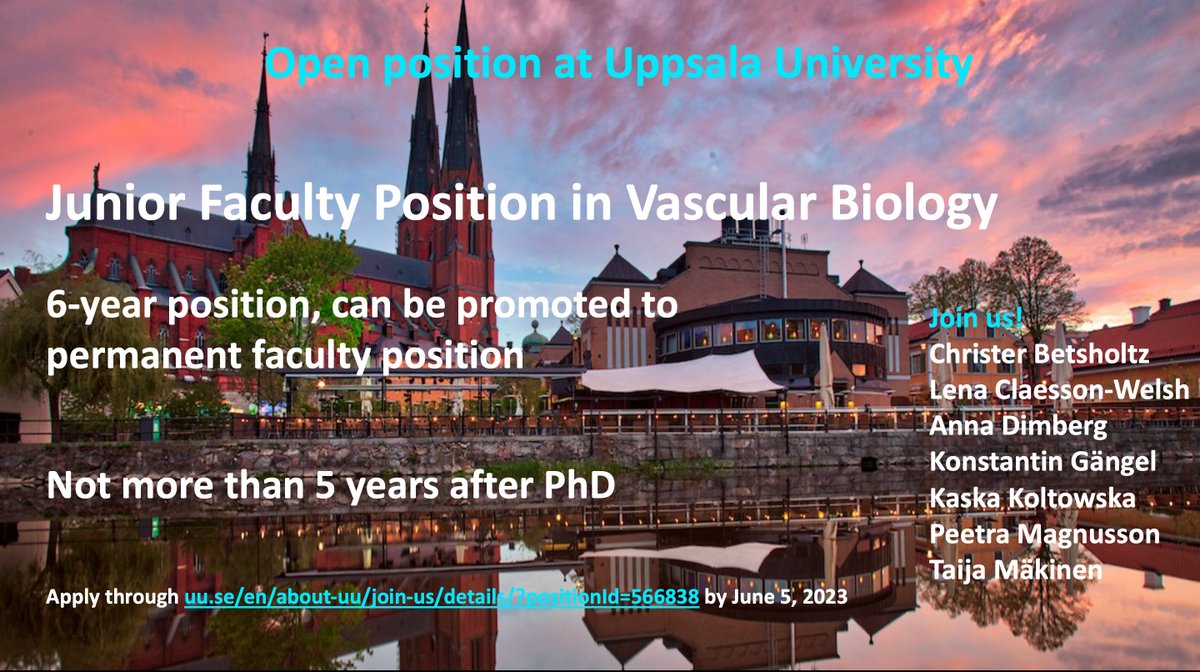 Uppsala Vascular Biology (@vascbioupp) on Twitter photo The deadline for application for the junior group leader <a href="/VascBioUpp/">Uppsala Vascular Biology</a> is extended to June 5, 2023! If you would like to open your lab in a fantastic environment apply!
#vascbio #postdocjobs #newPI
👇👇👇👇 The deadline for application for the junior group leader <a href="/VascBioUpp/">Uppsala Vascular Biology</a> is extended to June 5, 2023! If you would like to open your lab in a fantastic environment apply!
#vascbio #postdocjobs #newPI
👇👇👇👇