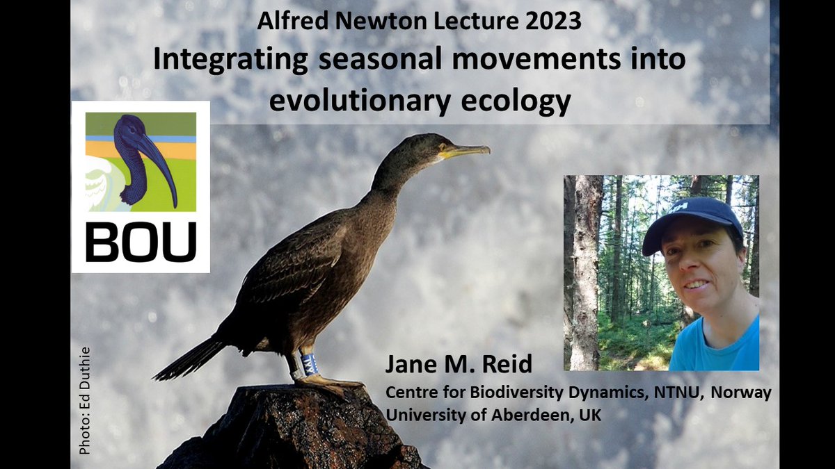 #BOU2023 1/18 Excited to present the 2023 #ALFREDNEWTONLECTURE with @FrancisDaunt @UKCEHseabirds @CBD_NTNU @UoABioSci @UK_CEH How will wild bird populations respond to rapid environmental changes, through interacting ecological & evolutionary dynamics? #ecoevo #extinctioncrisis